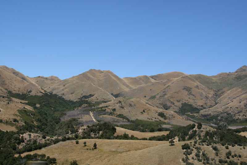 Nieuw-Zeeland 2011 - 1270